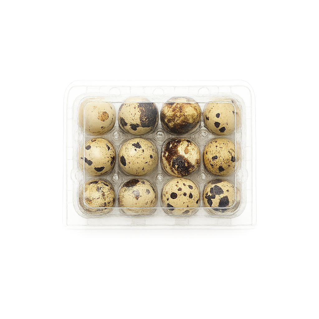 Bıldırcın Yumurtası Viyolü 12'li-Düz Üst Kapak