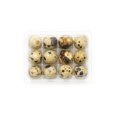 Bıldırcın Yumurtası Viyolü 12'li-Düz Üst Kapak