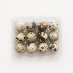 Bıldırcın Yumurtası Viyolü 12'li-Düz Üst Kapak