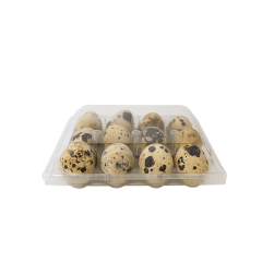 Bıldırcın Yumurtası Viyolü 12'li-Düz Üst Kapak