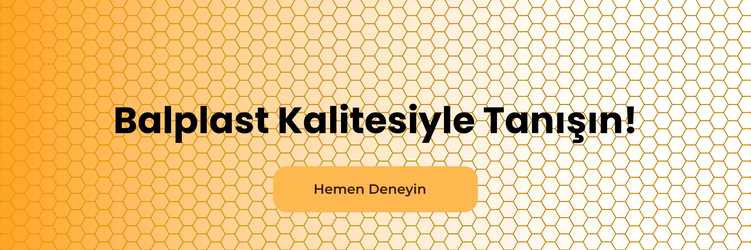 Balplast Kalitesiyle Tanışın