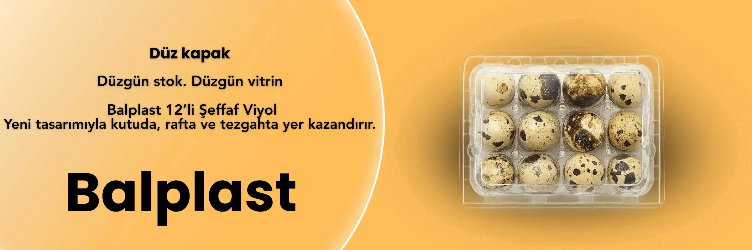 Bıldırcın Yumurtasi Viyolü 12'li